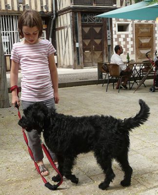 All you want to know about vaccinating your pets
