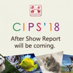 CIPS AD-300×250