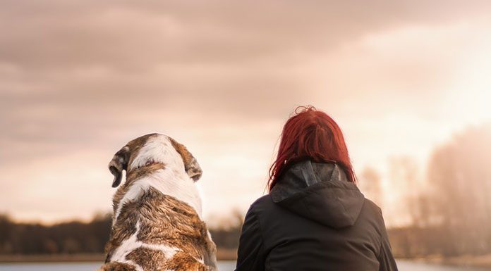 Choosing a Pet Sitter