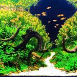 Custom-Saltwater-Aquariums-Aquascaping-696×602