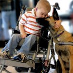 Disabilities-in-Dog-Owners-696×602