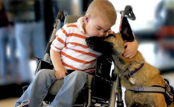 Disabilities in Dog Owners
