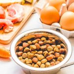 Does-Your-Dog’s-Diet-Need-to-Include-Supplements-1
