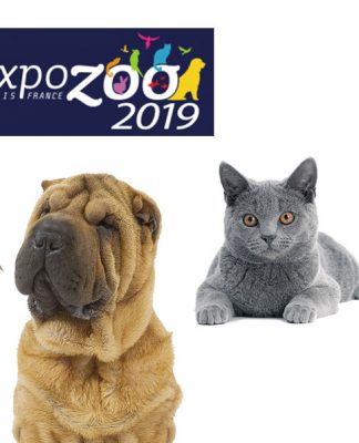 Expozoo