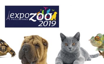 Expozoo