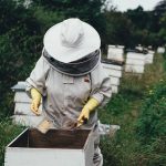 Family owned beekeeping companies