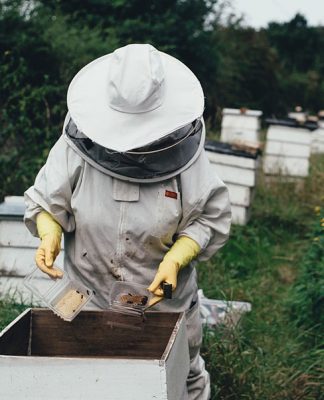 Family owned beekeeping companies