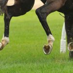 Fashion-Statement-Horse’s-Shoes-696×602