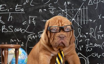 GENERAL HISTORY OF DOGS