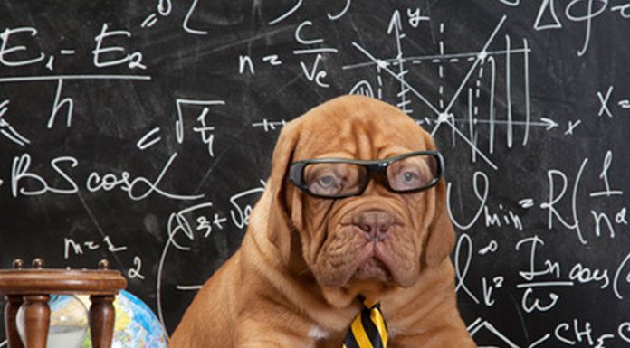 GENERAL HISTORY OF DOGS