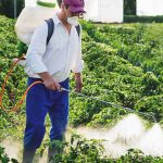 Helpful Information about Natural Insecticides