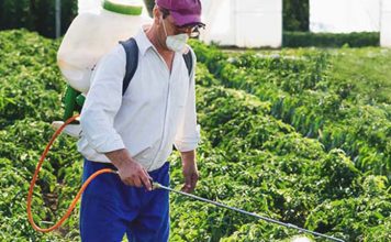 Helpful Information about Natural Insecticides