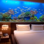 Home-Aquariums-Why-They-Are-Handy-696×602