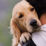 How-to-Deal-With-Separation-Anxiety-696×602