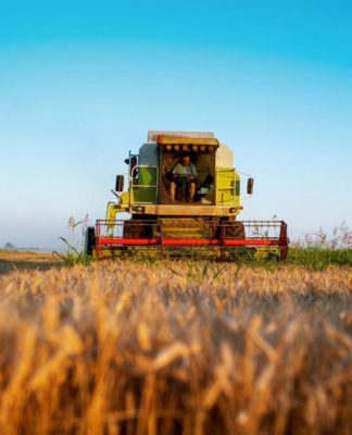 How to Use Non-Plant Natural Insecticide