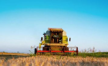 How to Use Non-Plant Natural Insecticide