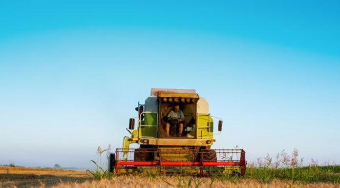 How to Use Non-Plant Natural Insecticide