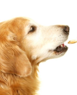 How to administer medicine