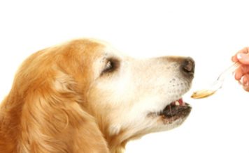 How to administer medicine