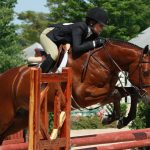Keeping-your-Horse-Safe-when-Riding-696×602
