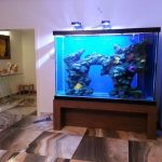 Large-Home-Aquarium-for-Sale
