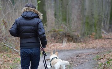 Leash Training for your Pets