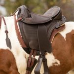 Looking-For-That-Perfect-(Cheap)-Saddle-696×602