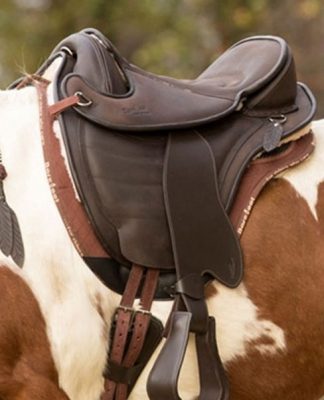 Looking For That Perfect (Cheap) Saddle