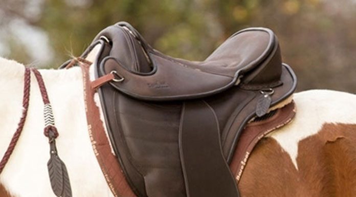 Looking For That Perfect (Cheap) Saddle