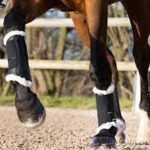 Lunging-Longeing—Part-Two-696×602