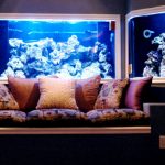 Making-Your-Home-Saltwater-Aquarium-Picture-Perfect-696×602