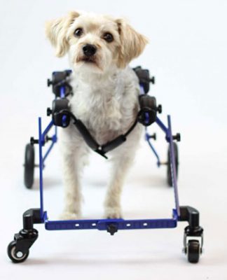 Mini Front Wheel Attachment