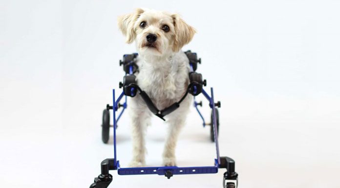 Mini Front Wheel Attachment