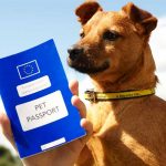 Pet-Passport-and-PETS-696×602