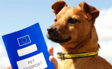 Pet Passport and PETS