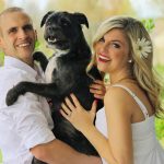 Household Pets: Problems faced during Litter Box Training