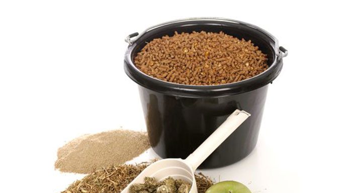 Read The Feed Bag Tag