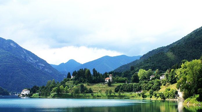 Switching From a Freshwater to a Home Saltwater Aquarium