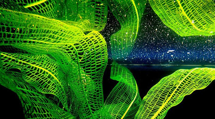 The Easiest Way to Setup a Saltwater Aquarium: Part Three