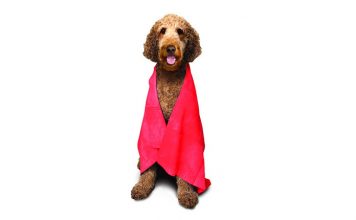 The Absorber in “Scarlett”