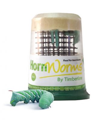Timberline Hornworms