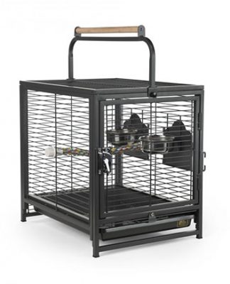 Wrought Iron Travel Carrier for Birds