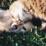 friends-1149841__340