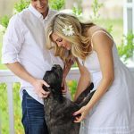 happy-dog-2284607__340
