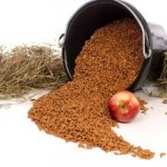 horse_feed_hay