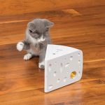 14-cat-toy-cheese.w540.h356