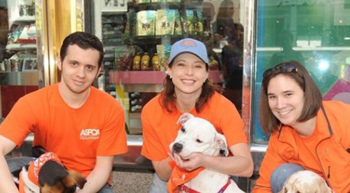 Facts About The ASPCA And What They Do For Dogs