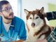LIVER DISEASE IN DOGS: SYMPTOMS, CAUSES, & TREATMENTS