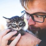 Raising-Kittens-696×602