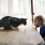 The-Cat-and-Child-Connection-696×602